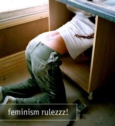 normal_feminism.jpg